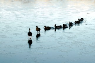 leadership-training-australia