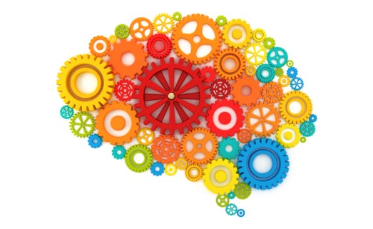 The-Evolution-of-Learning-and-Development