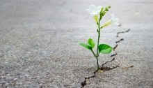 Five Ways to Build Resilience in the Workplace